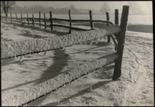 Opłotki [Dokument ikonograficzny]