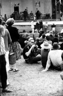 [Jelenia Góra - Cieplice : Park Norweski] (fot 14) [Dokument ikonograficzny]