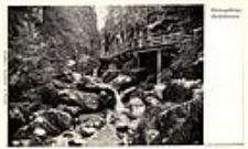 Riesengebirge, Zackelklamm [Dokument ikonograficzny]