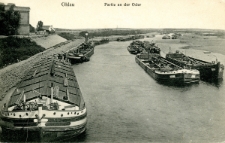 Ohlau. Partie an der Oder [Dokument ikonograficzny]