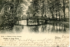 Ohlau. Partie in dem Park [Dokument ikonograficzny]