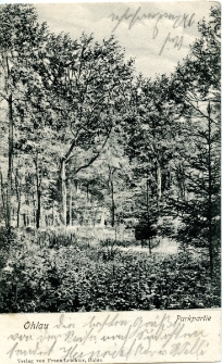 Ohlau. Parkpartie [Dokument ikonograficzny]