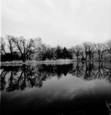 Stawy Podgórzyńskie (fot. 1) [Dokument ikonograficzny]