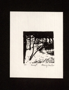 W parku [Dokument ikonograficzny]