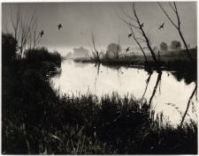 Kacze zapady [Dokument ikonograficzny]