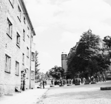 [Jelenia Góra : wyścigi kartingowe] (fot. 13) [Dokument ikonograficzny]