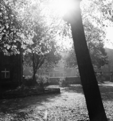 [Jelenia G&oacute;ra : przy Kościele Podwyższenia Krzyża Świętego] (fot. 1) [Dokument ikonograficzny]