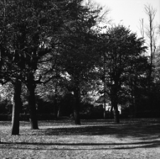 [Jelenia Góra : przy Kościele Podwyższenia Krzyża Świętego] (fot. 3) [Dokument ikonograficzny]