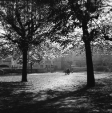 [Jelenia G&oacute;ra : przy Kościele Podwyższenia Krzyża Świętego] (fot. 4) [Dokument ikonograficzny]