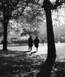 [Jelenia Góra : przy Kościele Podwyższenia Krzyża Świętego] (fot. 7) [Dokument ikonograficzny]