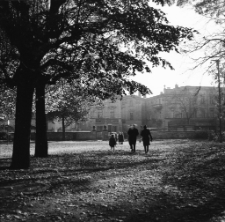 [Jelenia Góra : przy Kościele Podwyższenia Krzyża Świętego] (fot. 8) [Dokument ikonograficzny]