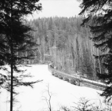 [Zapora na Łomnicy w Karpaczu] (fot. 2) [Dokument ikonograficzny]