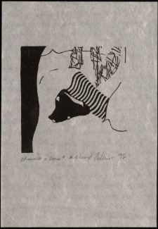 Kamień z lasu [Dokument ikonograficzny]