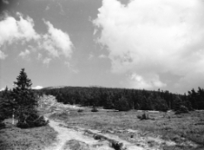 [Karkonosze] (fot. 2) [Dokument ikonograficzny]