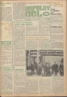 Wspólny cel : gazeta samorządu robotniczego Celwiskozy, 1980, nr 17 (788)