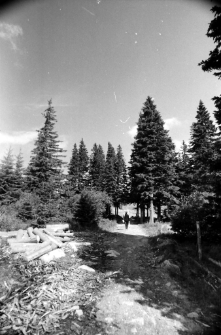 [Karkonosze] (fot. 5) [Dokument ikonograficzny]