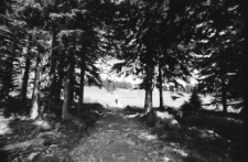 [Karkonosze] (fot. 6) [Dokument ikonograficzny]