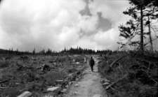 [Karkonosze] (fot. 7) [Dokument ikonograficzny]