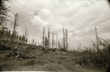 [Karkonosze] (fot. 9) [Dokument ikonograficzny]