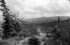 [Karkonosze] (fot. 11) [Dokument ikonograficzny]