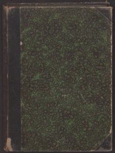 Übersicht der Kunstgeschichte der Provinz Posen