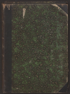 Die Kunstdenkmäler der Landkreise des Regierungsbezirks Posen