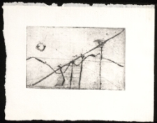 Zjazd króla [Dokument ikonograficzny]