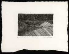 Landschaft rytownika [Dokument ikonograficzny]