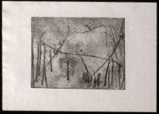 Dolina rozmów wstępnych [Dokument ikonograficzny]