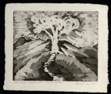 Złote drzewo z Jagniątkowa [Dokument ikonograficzny]