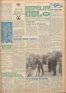 Wspólny cel : gazeta samorządu robotniczego Celwiskozy, 1980, nr 24 (795)