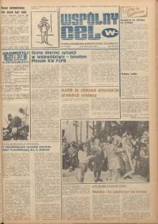 Wspólny cel : gazeta samorządu robotniczego Celwiskozy, 1980, nr 30 (801)