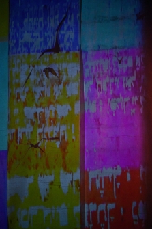 Asocjacja 2006 - Rabin Maharal i Golem, czyli Prawda i Śmierć (fot. 7) [Dokument ikonograficzny]