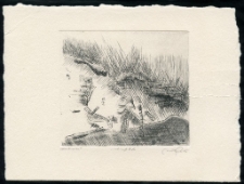 Karkonosze [Dokument ikonograficzny]