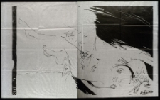 Przekończony akt [Dokument ikonograficzny]