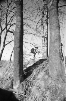 Przełajowe Grand Prix Jeleniej Góry o Puchar Przewodniczącego WKKFIT we Wrocławiu i o Puchar Dyrektora OSTIW w Jeleniej Górze (fot.10) [Dokument ikonograficzny]