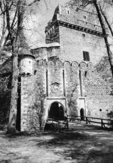 Zamek Grodziec (fot. 4) [Dokument ikonograficzny]
