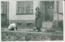 Porządkowanie trawnika przed WBP w Jeleniej Górze (fot. 3) [Dokument ikonograficzny]