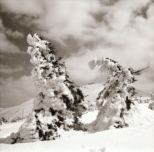 [Śnieżka zimą] (fot. 1) [Dokument ikonograficzny]