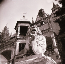 [Pałac Wojanów Bobrów ] (fot. 5) [Dokument ikonograficzny]