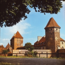 Toruń : zamek (fot. 1) [Dokument ikonograficzny]
