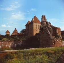 Toruń : zamek (fot. 2) [Dokument ikonograficzny]