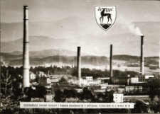 [Jelenia Góra - Celwiskoza] (fot. 10) [Dokument ikonograficzny]