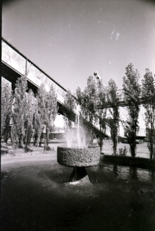 [Jelenia G&oacute;ra - Celwiskoza] (fot. 30) [Dokument ikonograficzny]