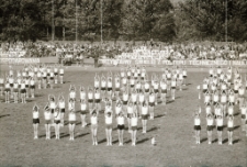 [Jelenia Góra - Pokazy na stadionie miejskim] (fot. 2) [Dokument ikonograficzny]