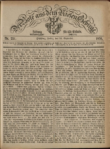 Der Bote aus dem Riesen-Gebirge : Zeitung für alle Stände, R. 64, 1876, nr 221