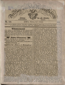 Der Bote aus dem Riesen-Gebirge : Zeitung für alle Stände, R. 64, 1876, nr 229