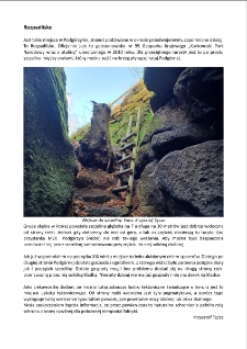 Rozpadlisko [Dokument elektroniczny]