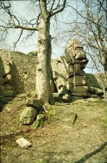 Zamek Bolczów (fot. 2) [Dokument ikonograficzny]