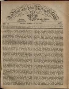 Der Bote aus dem Riesen-Gebirge : Zeitung für alle Stände, R. 65, 1877, nr 34